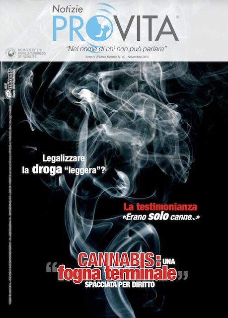 Copertina del n. 46 di Notizie Pro Vita - il fumo della cannabis nel buio