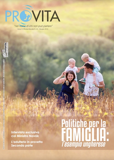 Copertina del n. 42 di Notizie Pro Vita - mamma e papà, con bimbi sulle spalle, salgono su una collina