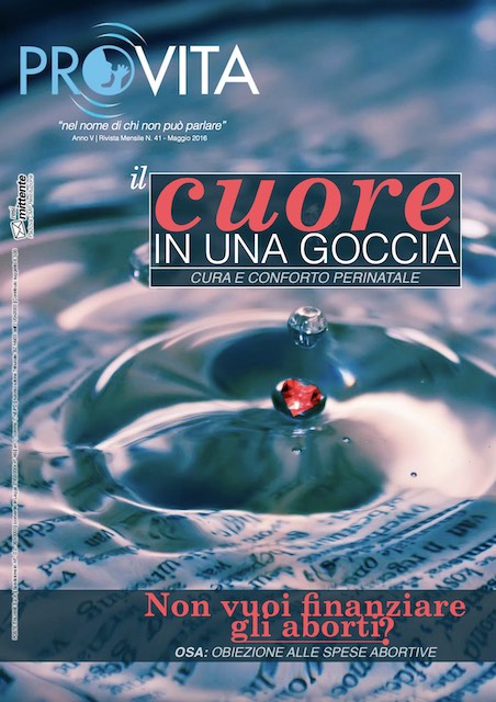 Copertina del n. 41 di Notizie Pro Vita - il cuore in una goccia