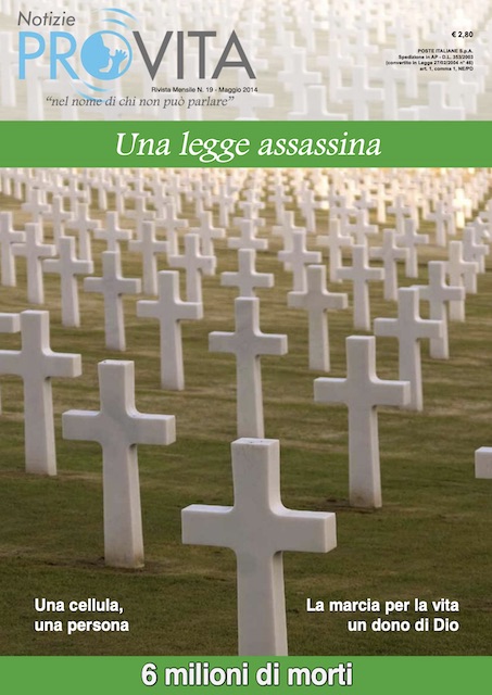 Copertina del n. 19 di Notizie Pro Vita - Distesa di croci in un cimitero