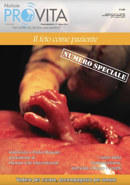 Copertina del n. 17 di Notizie Pro Vita - Hand of hope