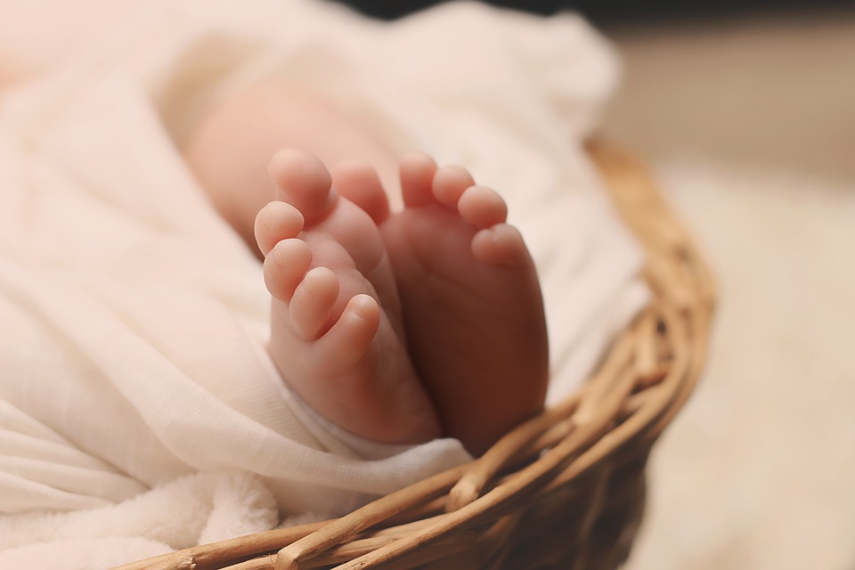 Piedini di un neonato spuntano da un cesto. no aborto