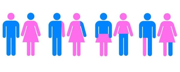 gender