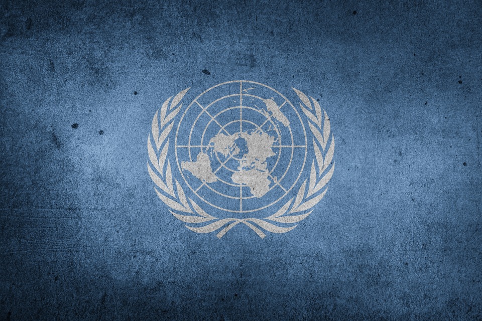 Nazioni Unite: l’ideologia gender assorbita nel diritto internazionale 1