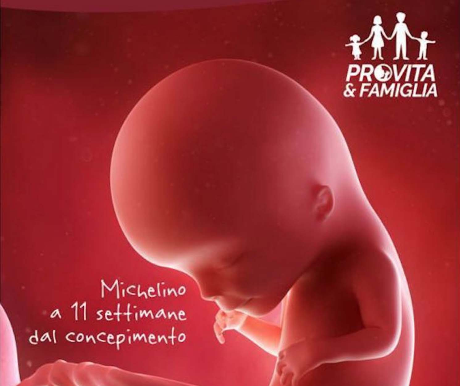 Manifesti aborto, Brandi e Coghe «Noi violenti per aver mostrato Michelino in pancia. E Taffo tutto bene?» 1