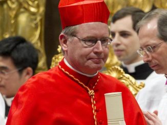 Il cardinale Eijk sull’eutanasia: «Viola il valore intrinseco della vita» 1