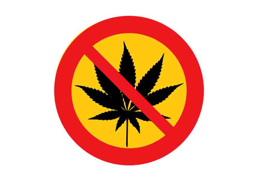 Milleproroghe, Pro Vita & Famiglia: «Come profetizzato l’emendamento cannabis era un truffa» 1