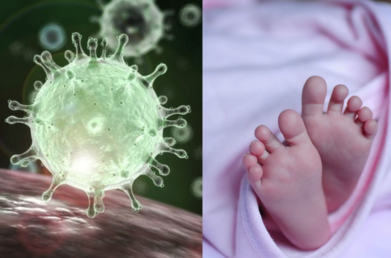 Il Coronavirus sconfitto… da una Vita che nasce! 1