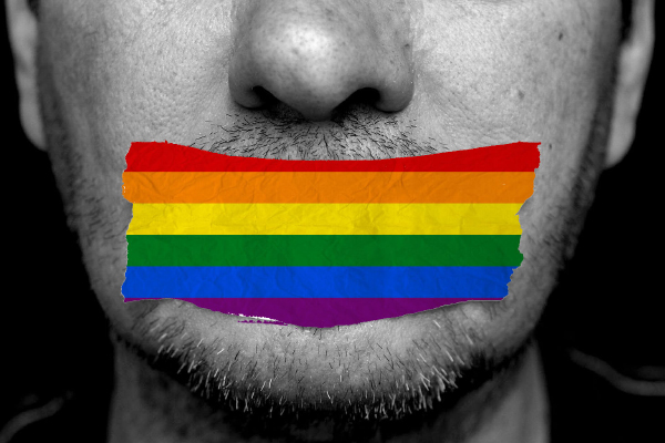 Iniziate le audizioni sul ddl contro l’omofobia. Ma all’Italia non serve questa legge 1