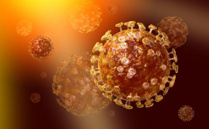 coronavirus