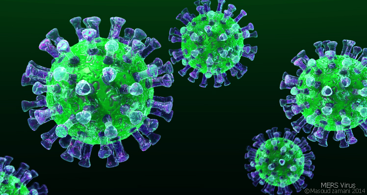 coronavirus