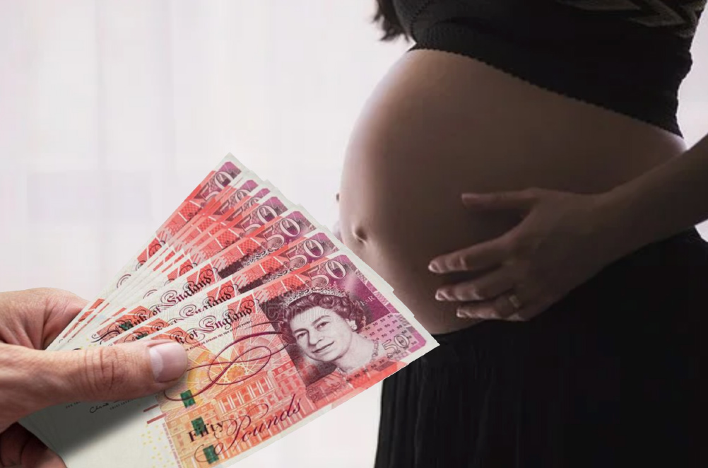 Regno Unito, la maternità surrogata finanziata con i soldi dei contribuenti 1