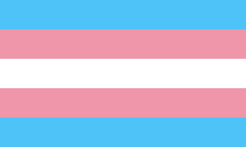 la bandiera simbolo dei transessuali