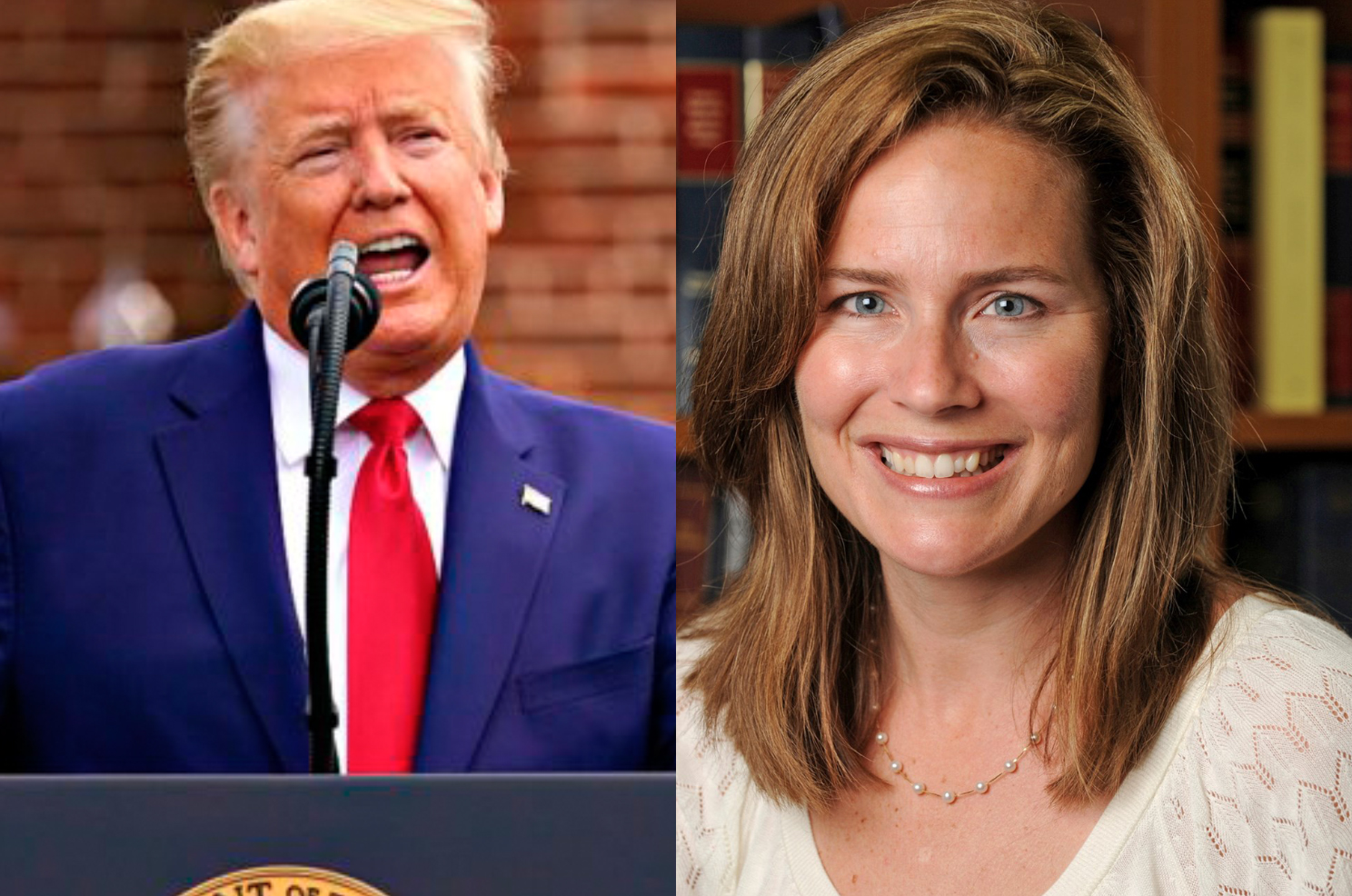 FLASH - Donald Trump sceglie Amy Coney Barrett alla Corte Suprema 1