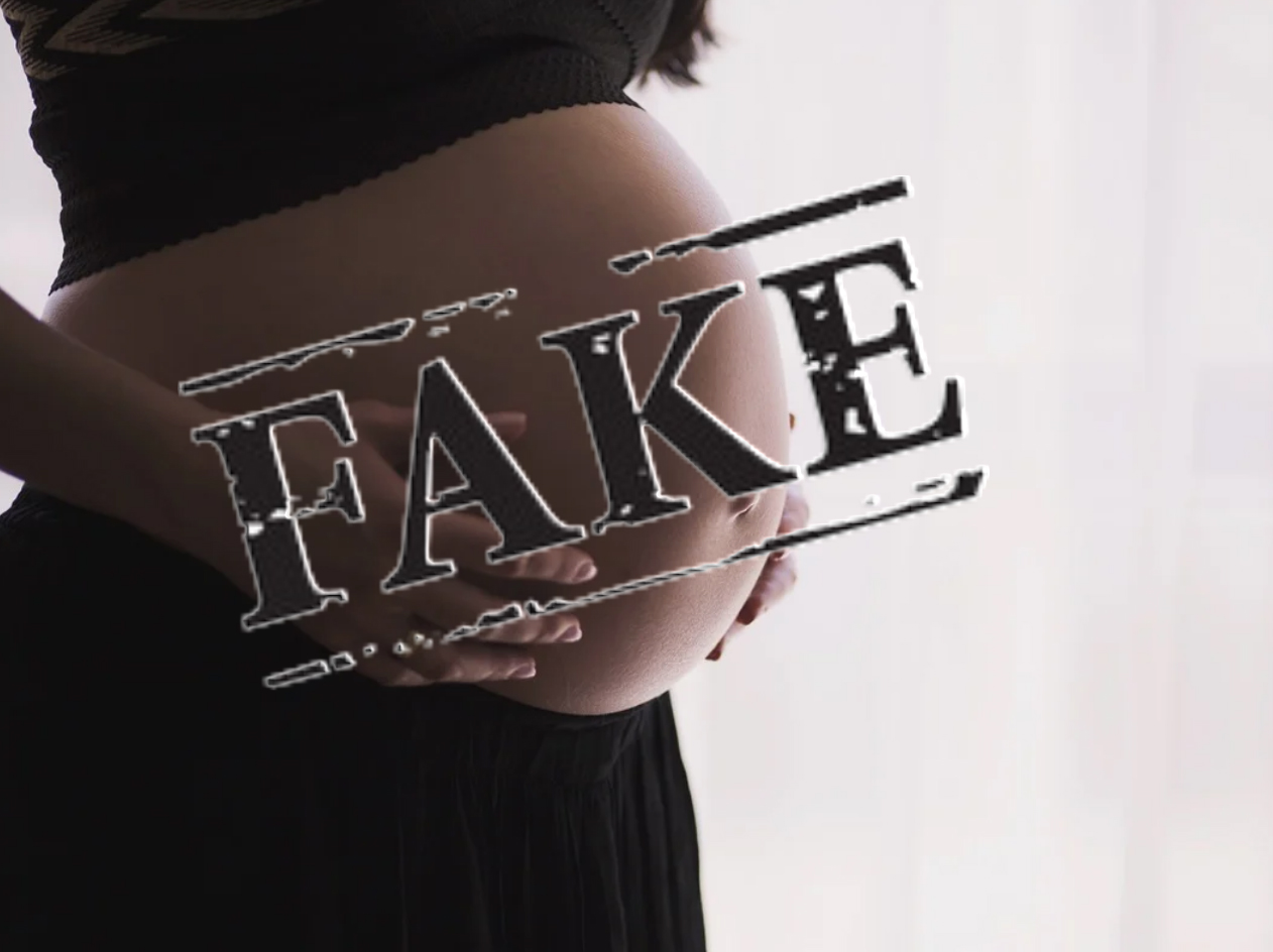 Stati Uniti, trans pubblicizza la sua “maternità simulata”. Il web si ribella 1