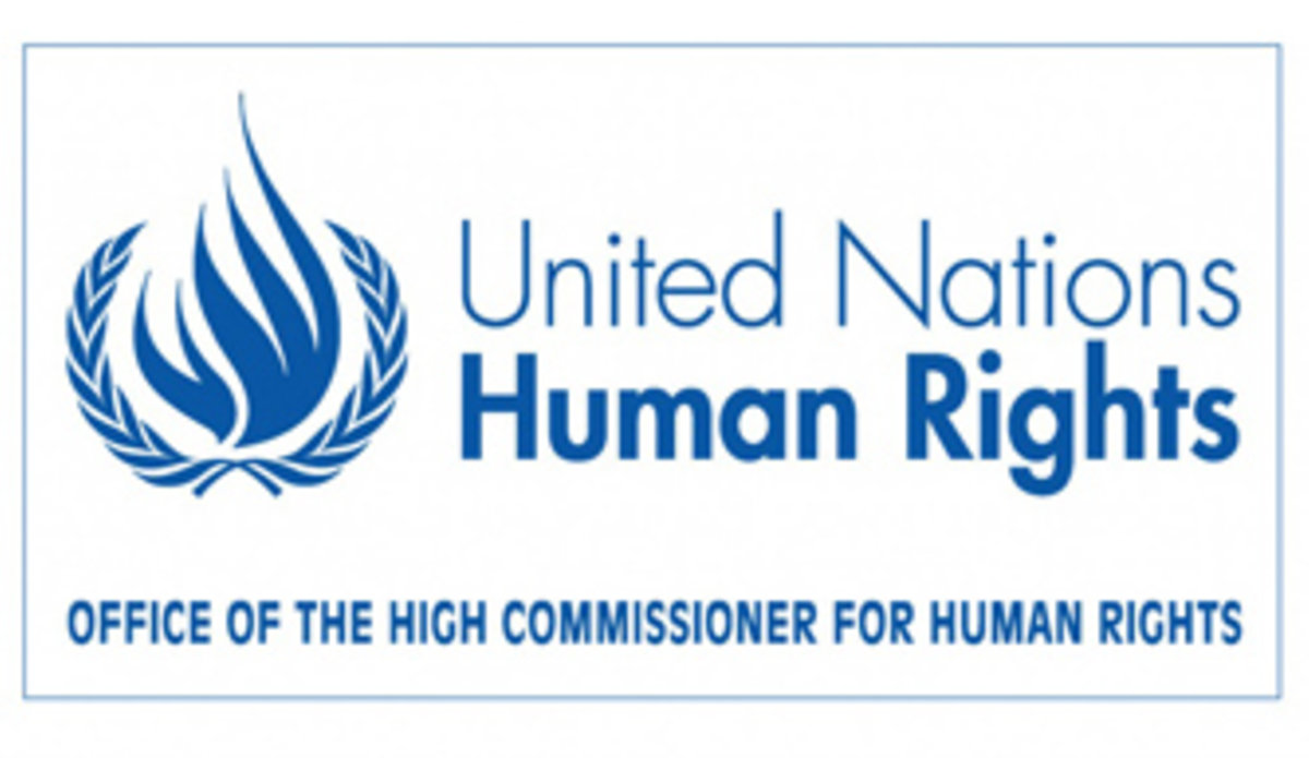 Ufficio dell'Alto Commissario dell'Onu per i diritti umani