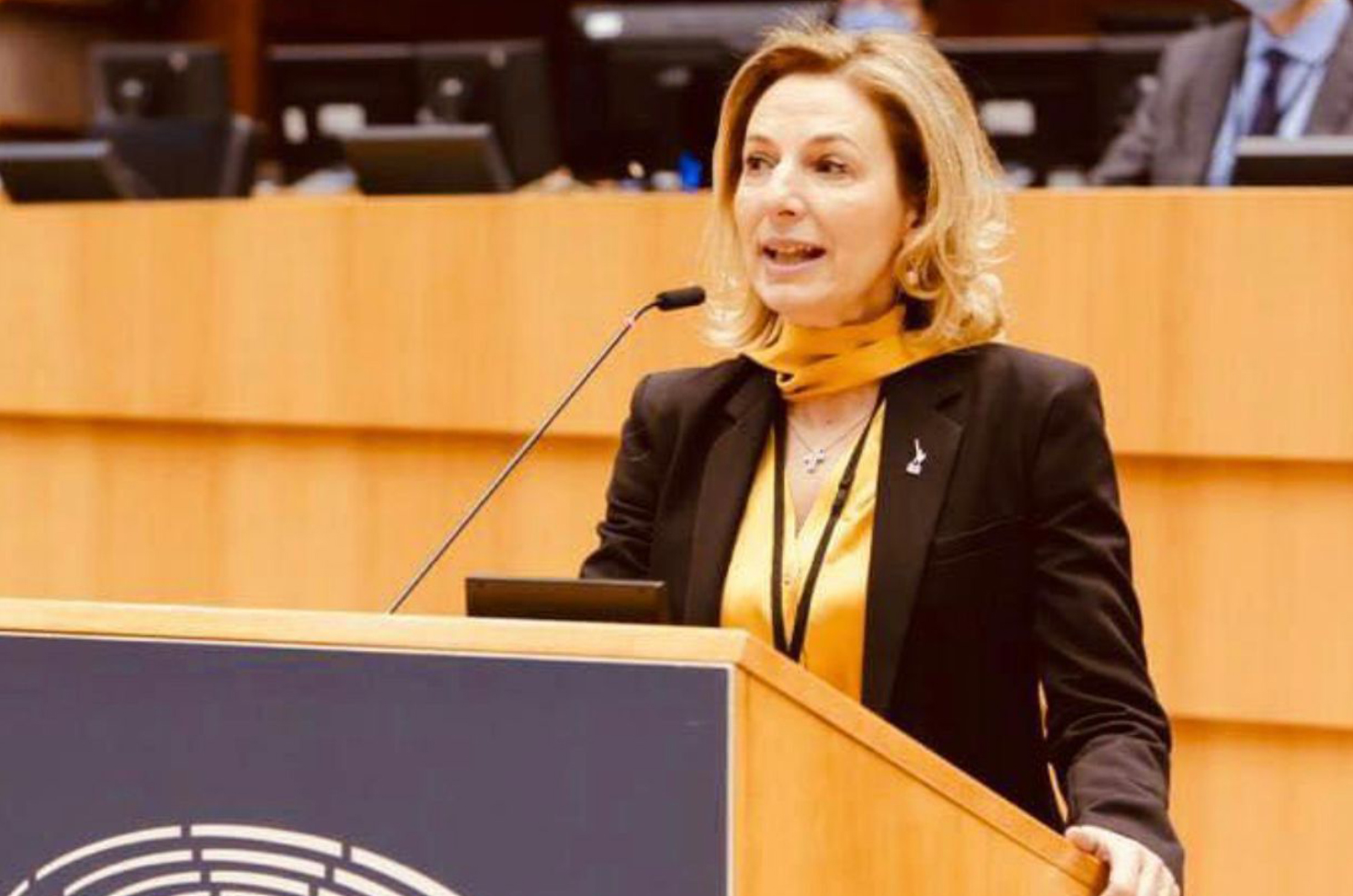 Neolingua UE. Baldassarre (Lega): «Un mondo senza “madre” e “padre” si tinge di nero» 1