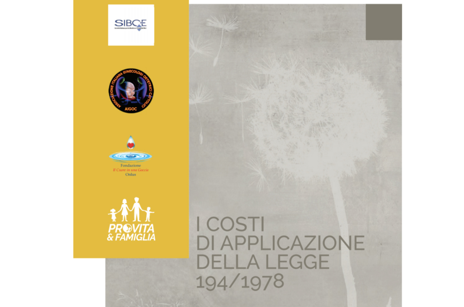 Agenzia Dire - Rapporto costi legge 194. Pro Vita: «5 miliardi per 6 milioni bambini morti» 1