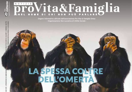 NPVF_98_copertina_omertà_non sento, non vedo non parlo_scimmiette