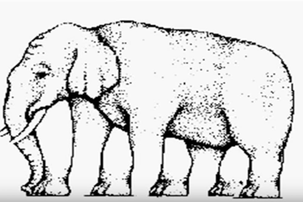 illusione ottica: elefante con molte zampe