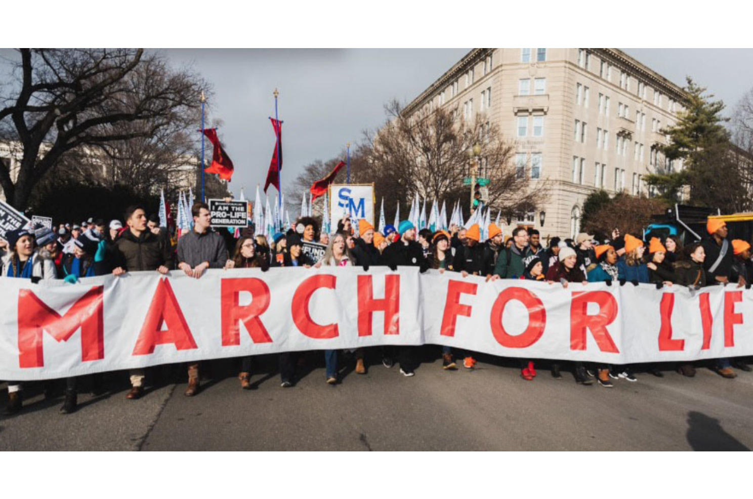 La March for Life di Washington. Un barlume di speranza 1