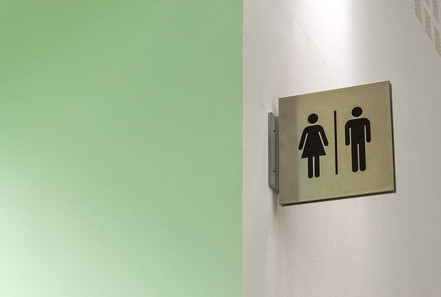 Gender. PV&F: «Con i bagni gender neutral si sposano ideologie mettendo in pericolo la salute delle ragazze. Ministero e Ufficio Regionale Scolastico prendano provvedimenti» 1