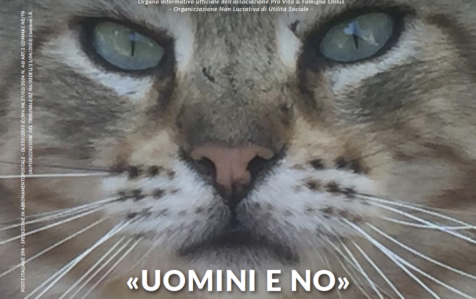 Un bel gatto in copertina su Notizie proVita & Famiglia, aprile 2022