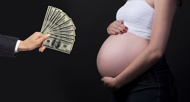 Assurdo in Canada, arrivano gli incentivi fiscali per l’utero in affitto 1