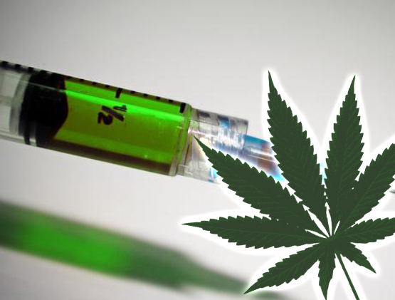 La politica insiste pericolosamente su droga e cannabis, nonostante l’ultimo allarme di San Patrignano 1