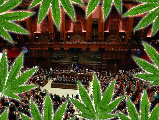 Cannabis, cosa sta accadendo in Parlamento e cosa ci aspetta? 1