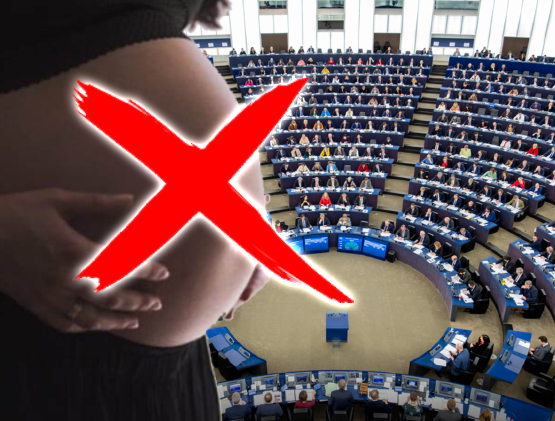 Aborto. Pro Vita & Famiglia: «Parlamento europeo condanna bambini a non nascere» 1