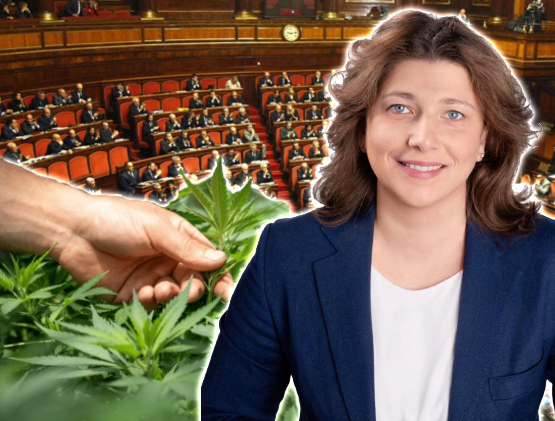 Varchi (FdI): «Fa paura un governo che vuole legalizzare la cannabis» 1