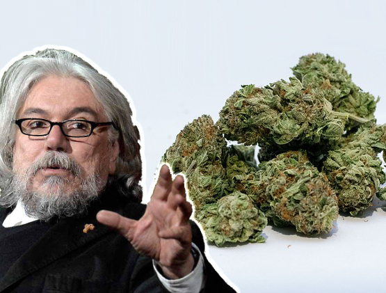 Cannabis legale. Meluzzi: «Ecco perché aprirebbe la porta a droghe più pericolose» 1