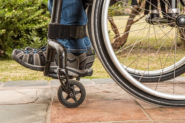 Nuova legge delega per disabilità: Pei, progetto di vita, lavoro, quali gli strumenti necessari? 1