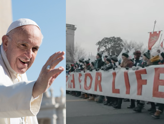 Il Papa: «Proteggere la Vita in tutte le sue forme» 1