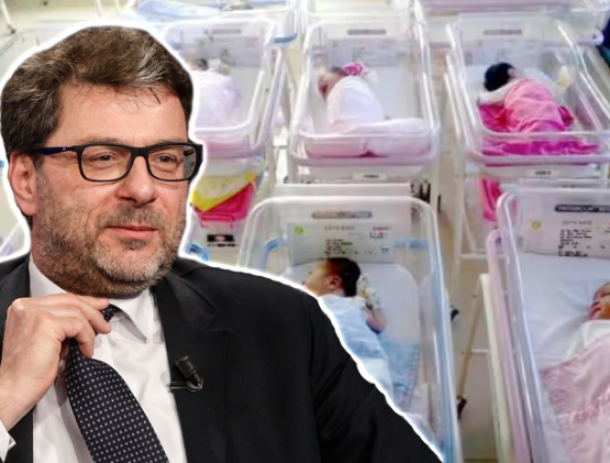 FLASH - Denatalità. Ministro Giorgetti propone meno tasse a chi fa figli 1