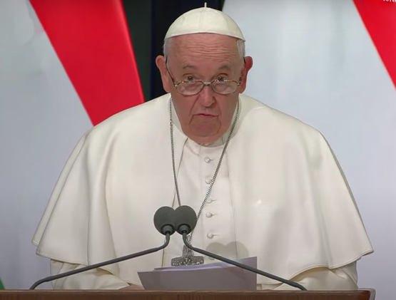 FLASH - Papa Francesco: «Europa messa in pericolo da cultura gender e diritto all'aborto» 1