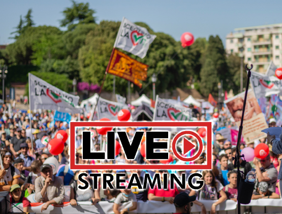 Manifestazione "Scegliamo la Vita" - RIVEDI LO STREAMING VIDEO! 1