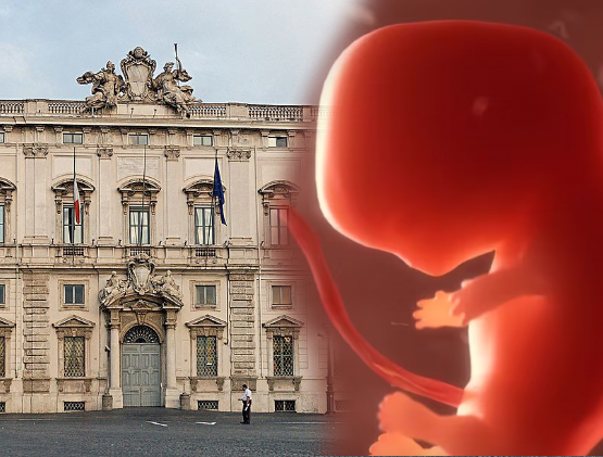 La Corte Costituzionale: parla di «dignità dell’embrione»... 1