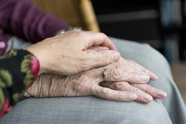 Anziani. Servono più azioni concrete, sostegni ai nonni e incentivi per cure palliative 1