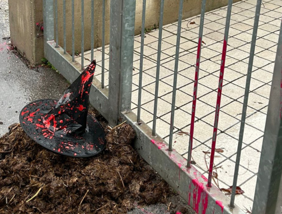 La nostra solidarietà al Cav Padova per vile attacco 1