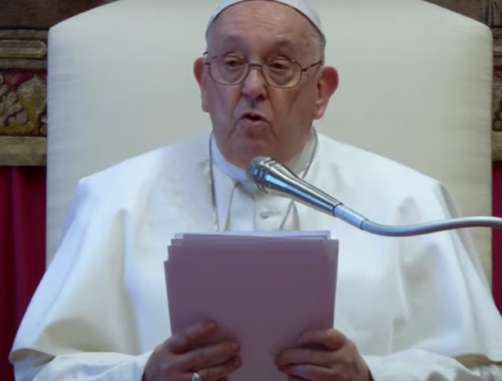 Papa Francesco: «Utero in affitto sia vietato ovunque». E denuncia anche il gender 1