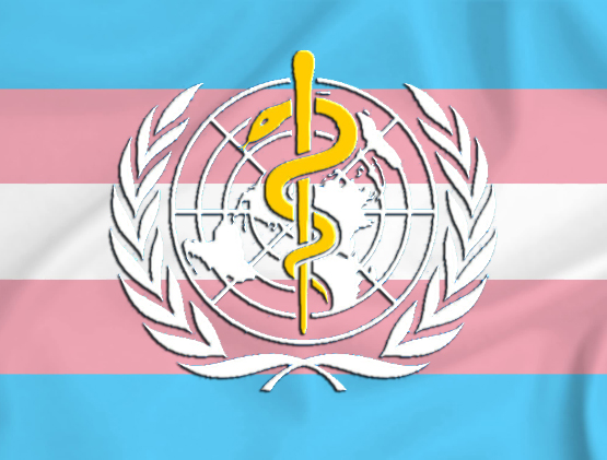 Transgender al potere dentro l’OMS. Così decidono sulla transizione per i minori 1