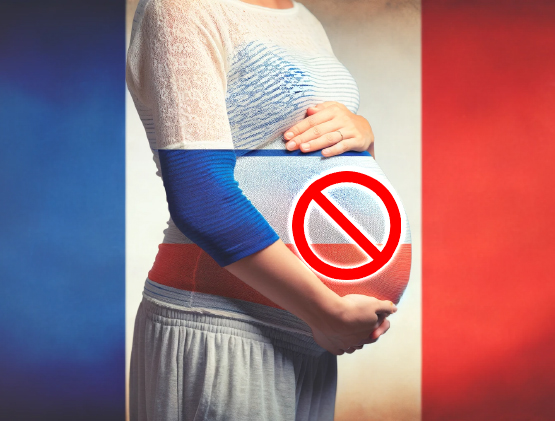 Francia verso il baratro: primo via libera per aborto in costituzione 1