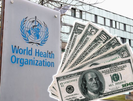 Organizzazione Mondiale della Sanità. Tutto ciò che non torna sui