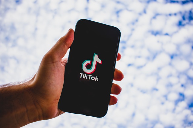 Sanzione a TikTok. Ora basta minori sui social, Parlamento alzi età consenso e aumenti verifiche 1