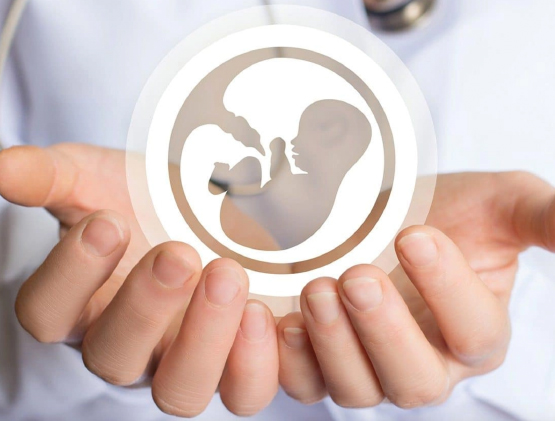 Ancona. Domani nostro convegno scientifico su relazione feto-madre in gravidanza. Attacchi Pd non sfocino in disordini 1