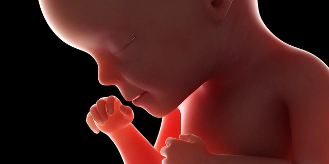 Il drammatico bilancio degli aborti nel 2024. Oltre 123mila al giorno 1