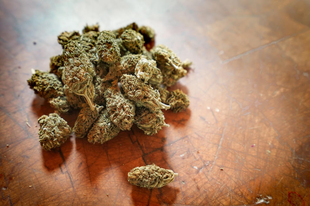 Bene le restrizioni del Decreto Sicurezza alla cannabis. Ecco perché è pericoloso legalizzarla 1