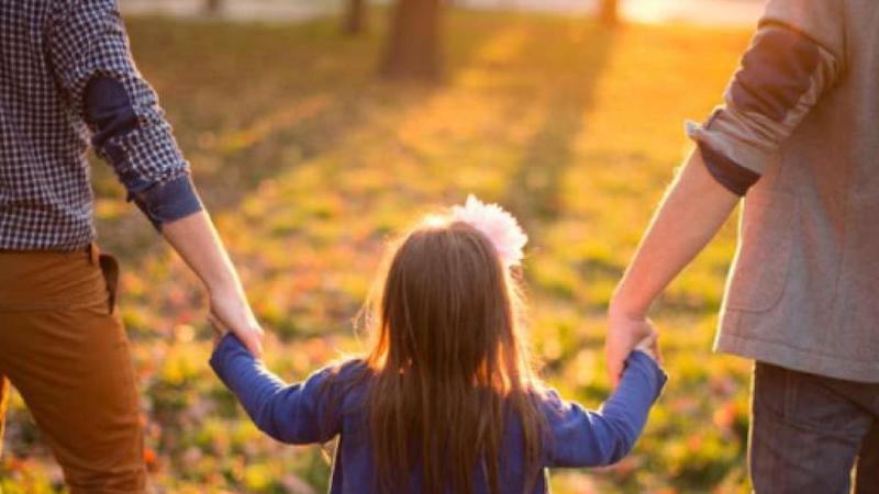 A Pesaro i giudici legittimano l’utero in affitto riconoscendo “due papà” 1